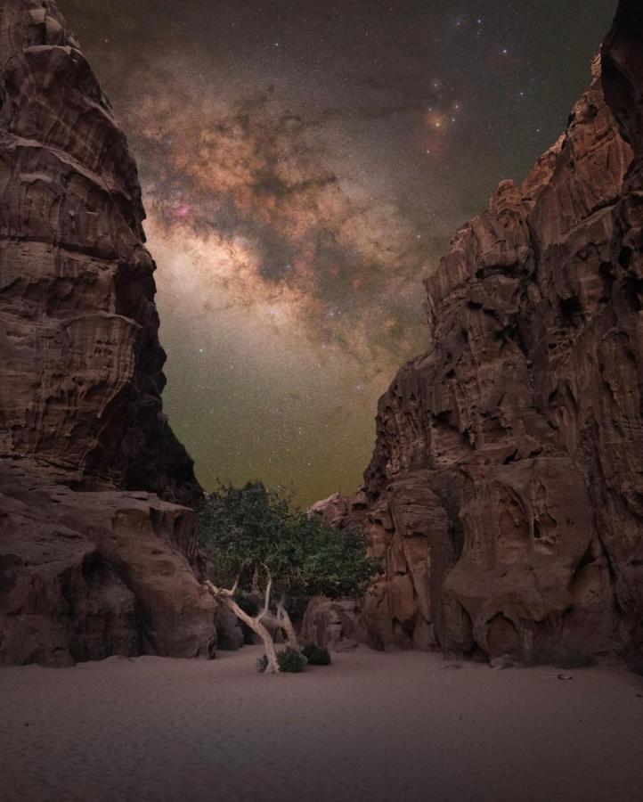 Wadirum Zeid Camp&Tours Wadi Rum Exterior foto