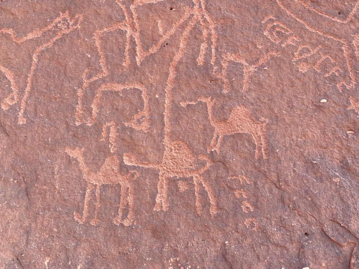 Wadirum Zeid Camp&Tours Wadi Rum Exterior foto